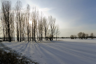 BUITEN BEELD Foto: 262262