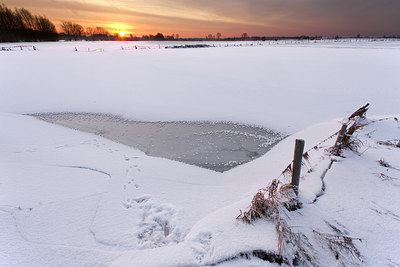 BUITEN BEELD Foto: 262264