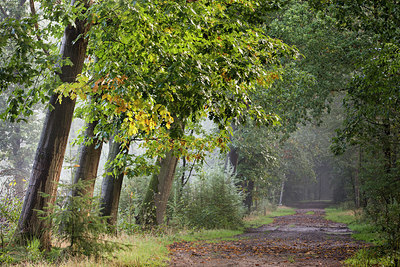 BUITEN BEELD Foto: 262285