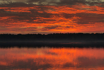 BUITEN BEELD Foto: 262353