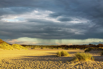 BUITEN BEELD Foto: 262363
