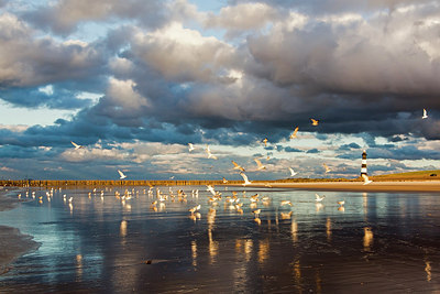 BUITEN BEELD Foto: 262366