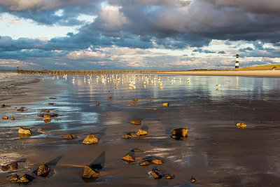 BUITEN BEELD Foto: 262376