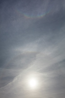 BUITEN BEELD Foto: 262382