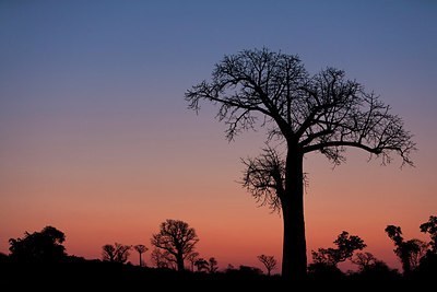 BUITEN BEELD Foto: 262401