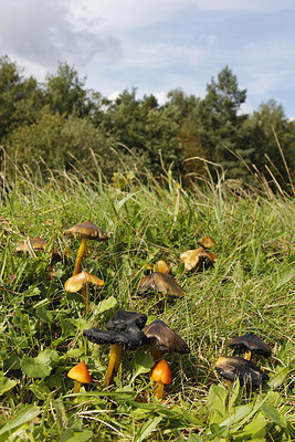 BUITEN BEELD Foto: 262463