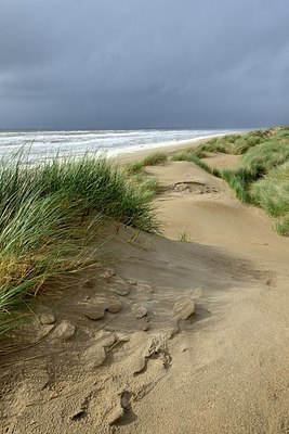 BUITEN BEELD Foto: 262493
