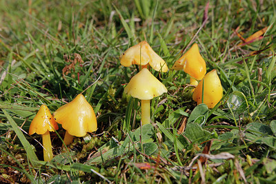 BUITEN BEELD Foto: 262501