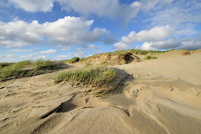 BUITEN BEELD Foto: 262557