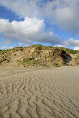 BUITEN BEELD Foto: 262559