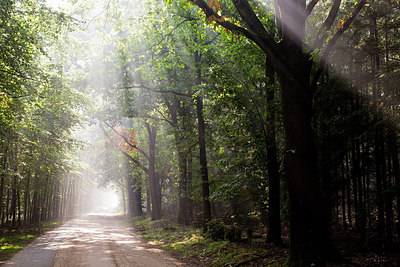 BUITEN BEELD Foto: 262645