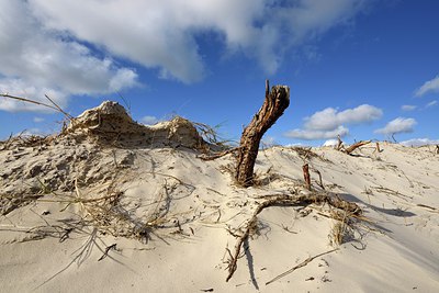 BUITEN BEELD Foto: 262778