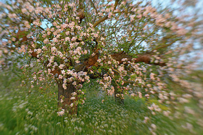 BUITEN BEELD Foto: 262793