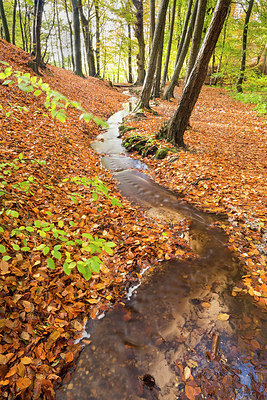 BUITEN BEELD Foto: 262813