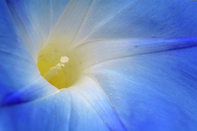 BUITEN BEELD Foto: 262829