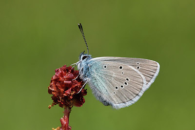 BUITEN BEELD Foto: 262841