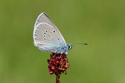 BUITEN BEELD Foto: 262842
