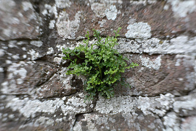 BUITEN BEELD Foto: 262879