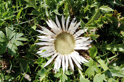 BUITEN BEELD Foto: 262902