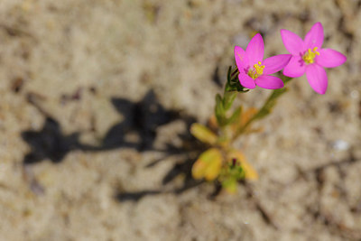 BUITEN BEELD Foto: 262912