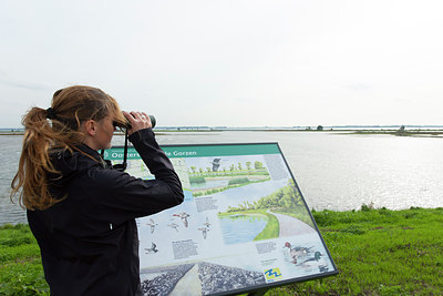 BUITEN BEELD Foto: 262953