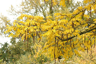 BUITEN BEELD Foto: 263032