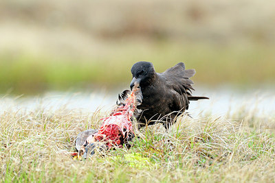 BUITEN BEELD Foto: 263043