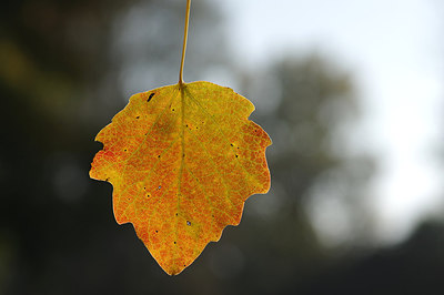 BUITEN BEELD Foto: 263051