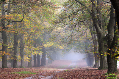 BUITEN BEELD Foto: 263208