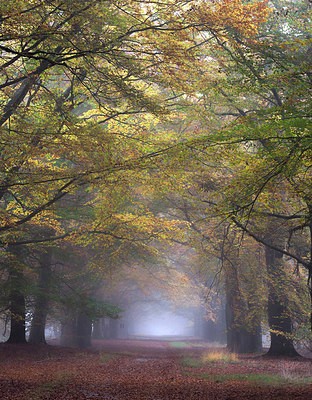 BUITEN BEELD Foto: 263213