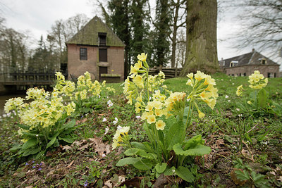 BUITEN BEELD Foto: 263276