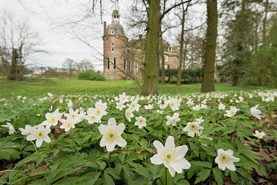 BUITEN BEELD Foto: 263277