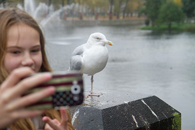 BUITEN BEELD Foto: 263335