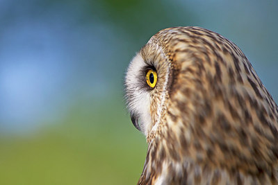BUITEN BEELD Foto: 263359