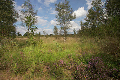 BUITEN BEELD Foto: 263389