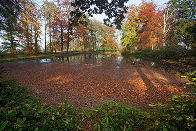 BUITEN BEELD Foto: 263392
