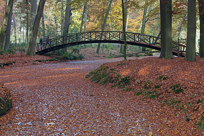 BUITEN BEELD Foto: 263394
