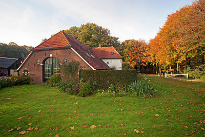 BUITEN BEELD Foto: 263397