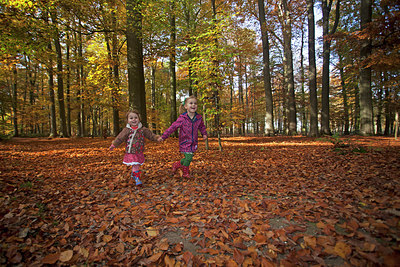 BUITEN BEELD Foto: 263465