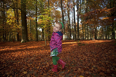BUITEN BEELD Foto: 263476