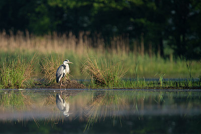 BUITEN BEELD Foto: 263560