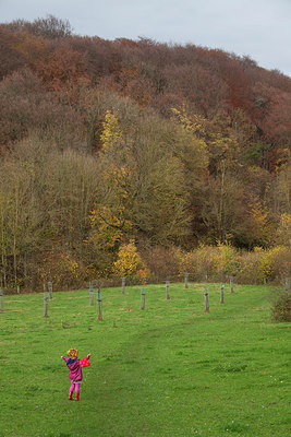 BUITEN BEELD Foto: 263587