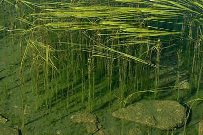 BUITEN BEELD Foto: 263627