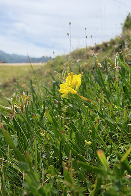 BUITEN BEELD Foto: 263722