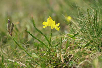 BUITEN BEELD Foto: 263725