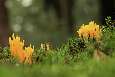 BUITEN BEELD Foto: 263784