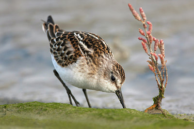 BUITEN BEELD Foto: 263845