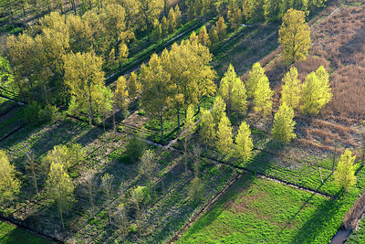 BUITEN BEELD Foto: 263897