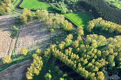 BUITEN BEELD Foto: 263902