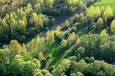 BUITEN BEELD Foto: 263904